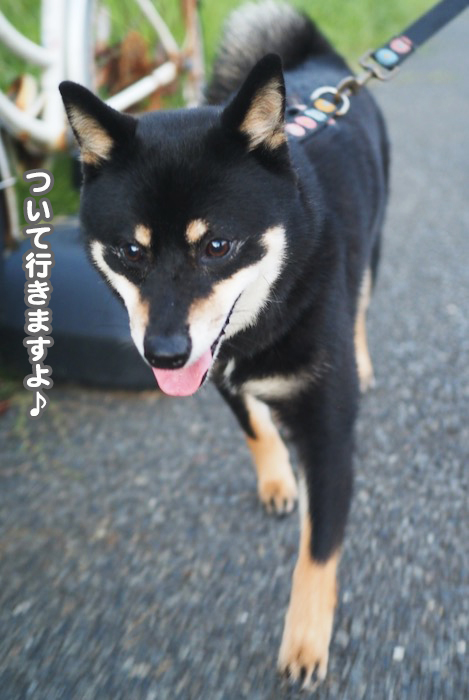 6日夕ブログ４