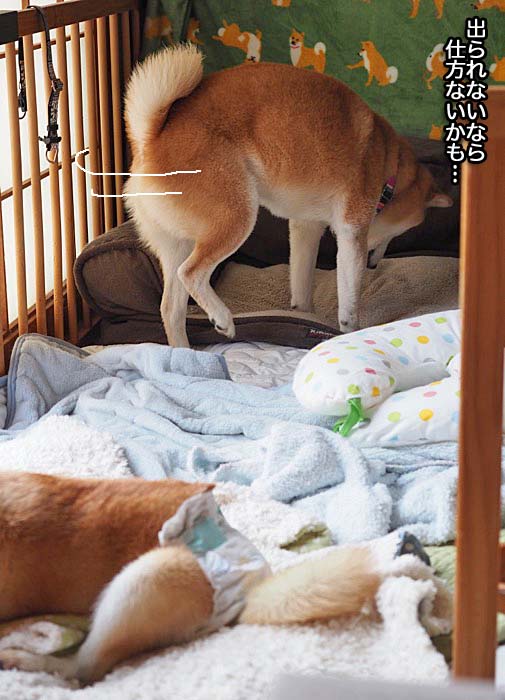 29日夜ブログ８