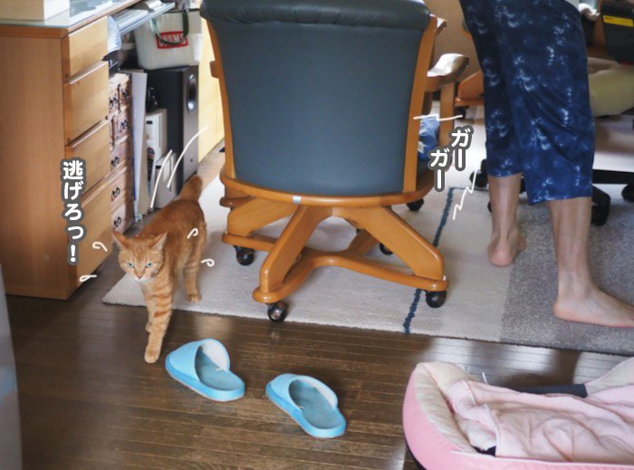 11日夕ブログ４
