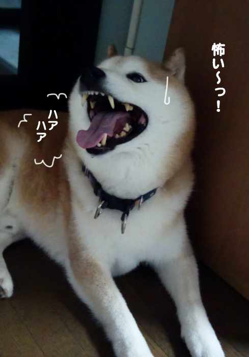 2日ブログ２