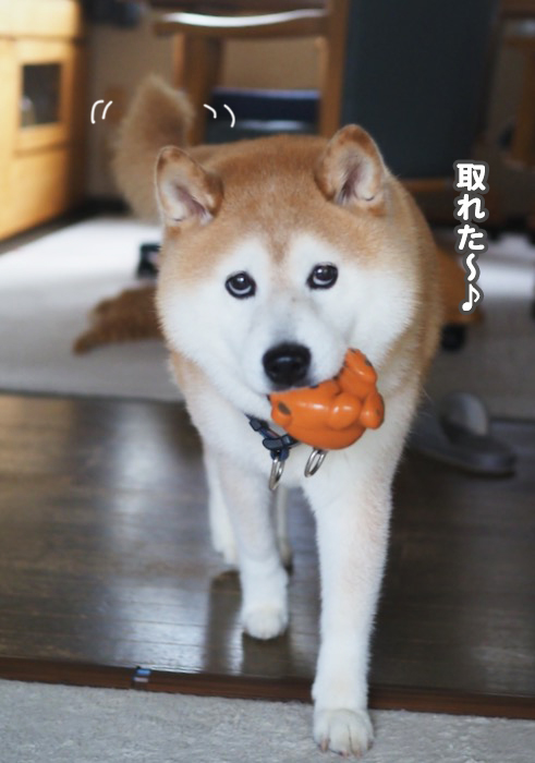 15日夕ブログ９