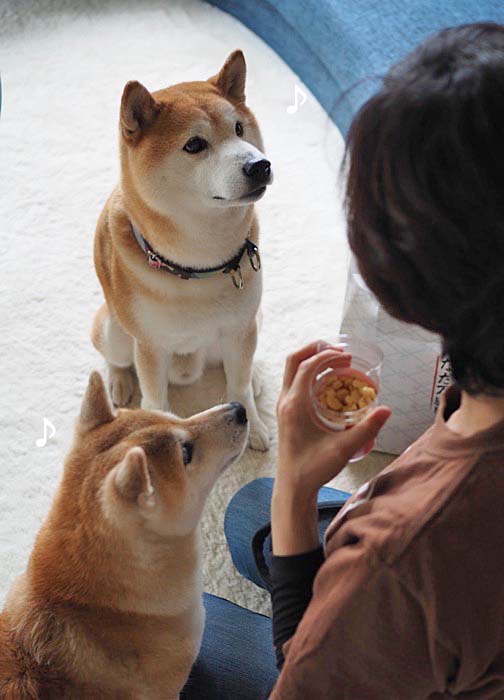 4日ブログ3