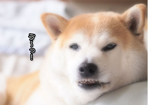 27日ブログ12.jpg