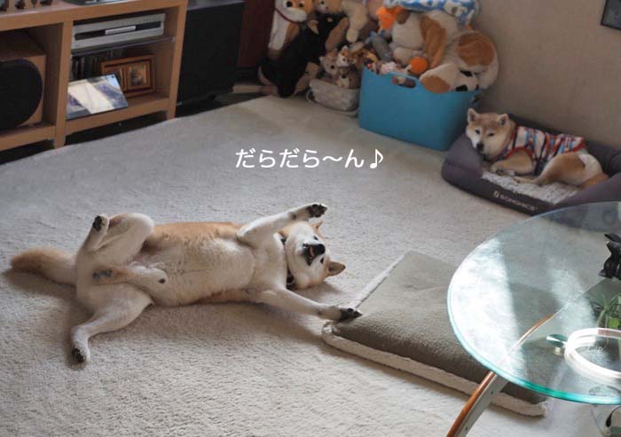 6日夜ブログ２