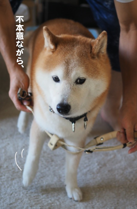 24日ブログ２