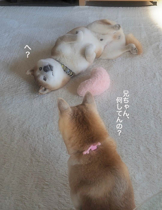 13日夜ブログ６