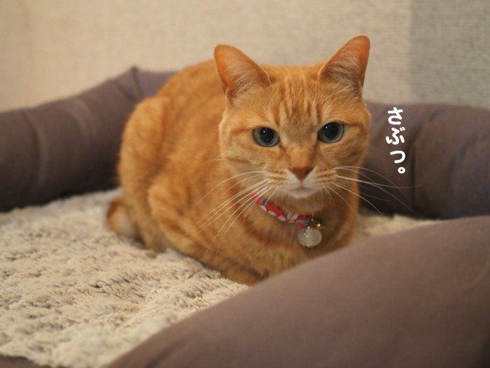 23日夜ブログ６