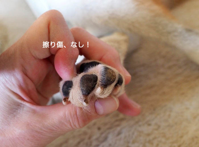 25日ブログ６