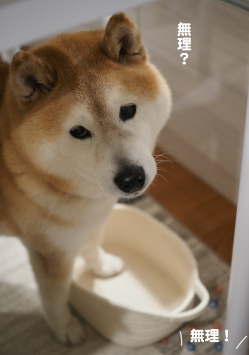 24日夕ブログ５