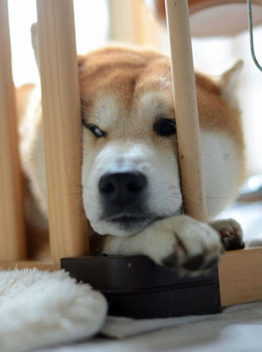 28日ブログ7.jpg