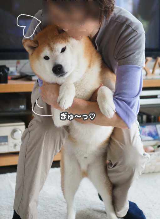 26日夕ブログ５