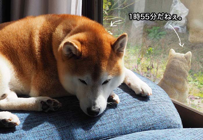 13日ブログ５