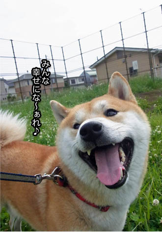 21日ブログ８.jpg