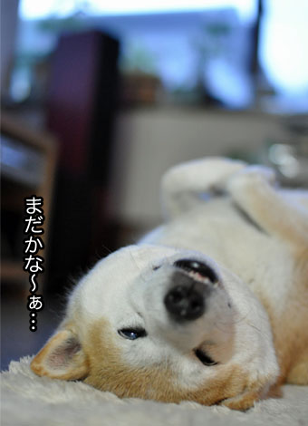 26日ブログ11.jpg