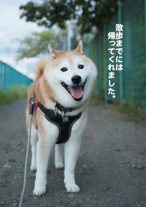 24日夕ブログ４