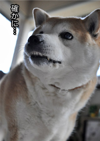 2日ブログ10.jpg