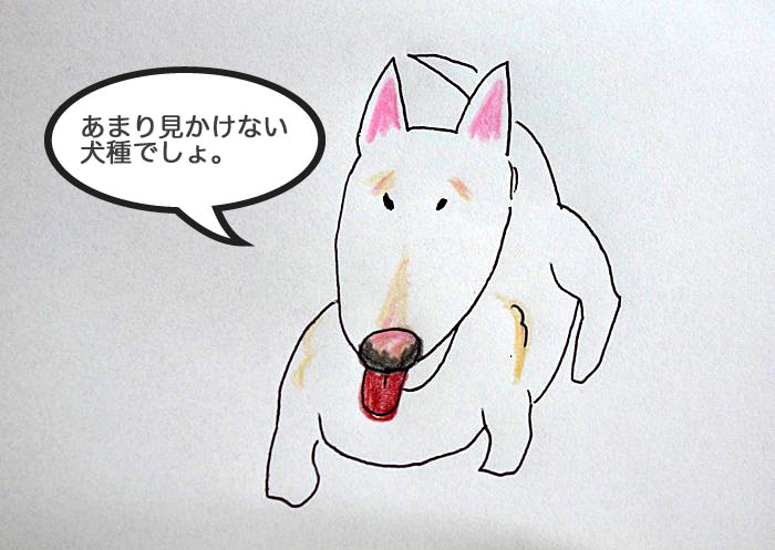 1日夕ブログ８