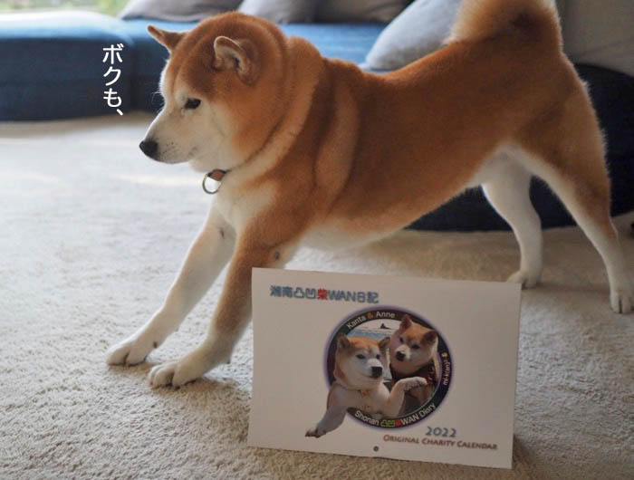 3日夕ブログ４