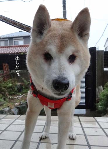 9日ブログ4.jpg