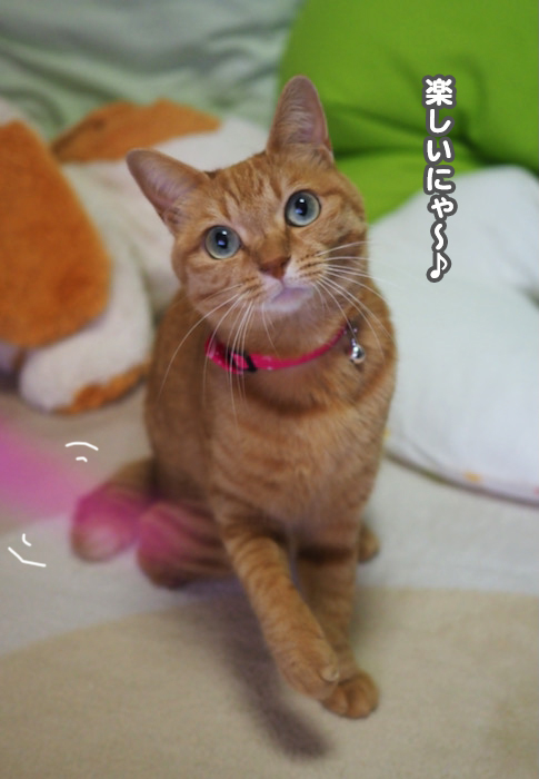 10日夕ブログ５
