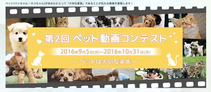 23日コンテスト