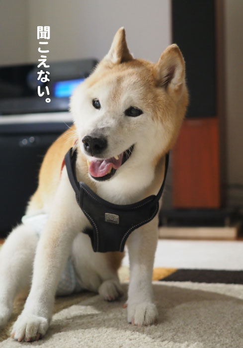 2日ブログ4