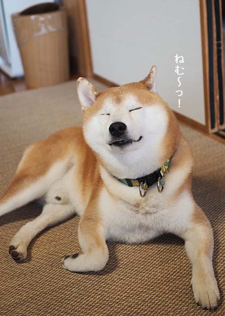 19日ブログ4