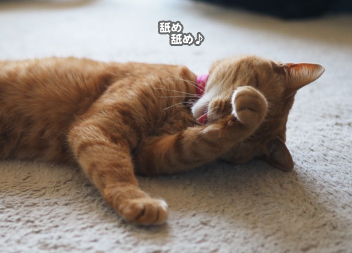 24日ブログ4