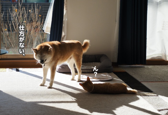 28日夕ブログ３