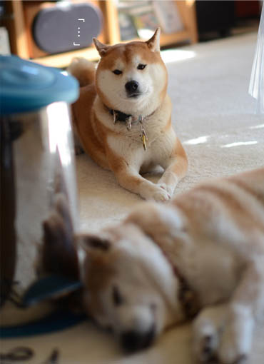 18日ブログ5.jpg