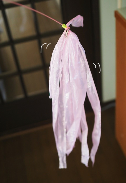 13日夕ブログ２