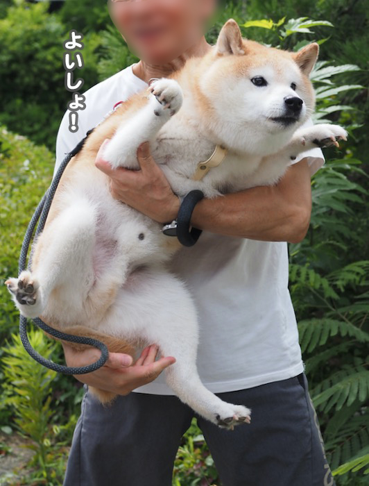 9日ブログ２