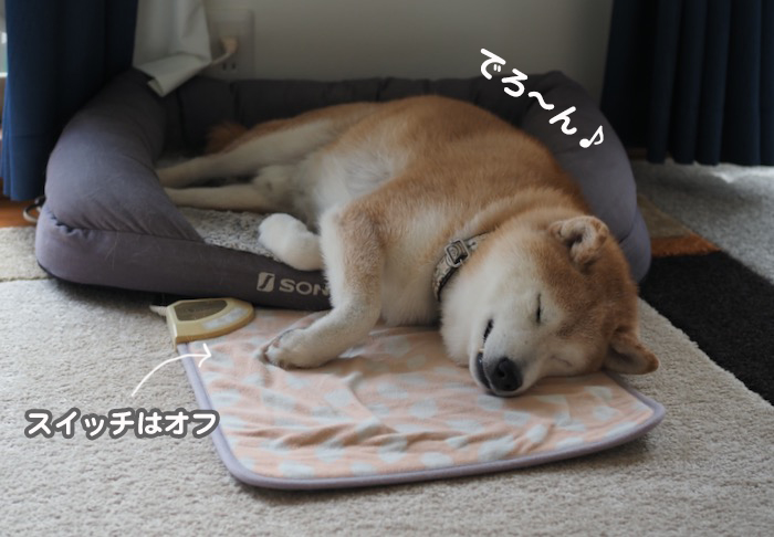 20日夕ブログ２