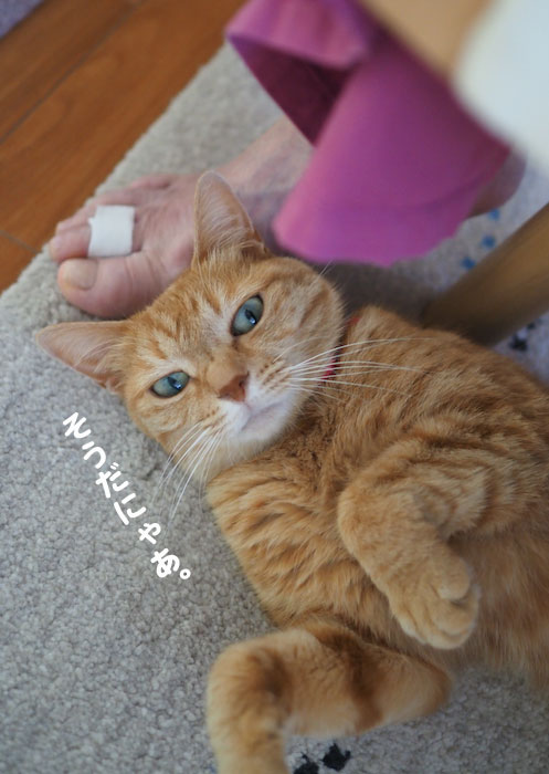 6日夕ブログ５