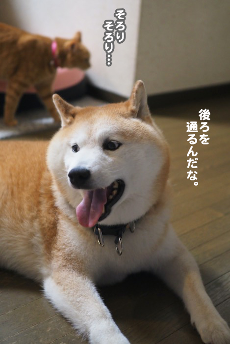 19日ブログ４