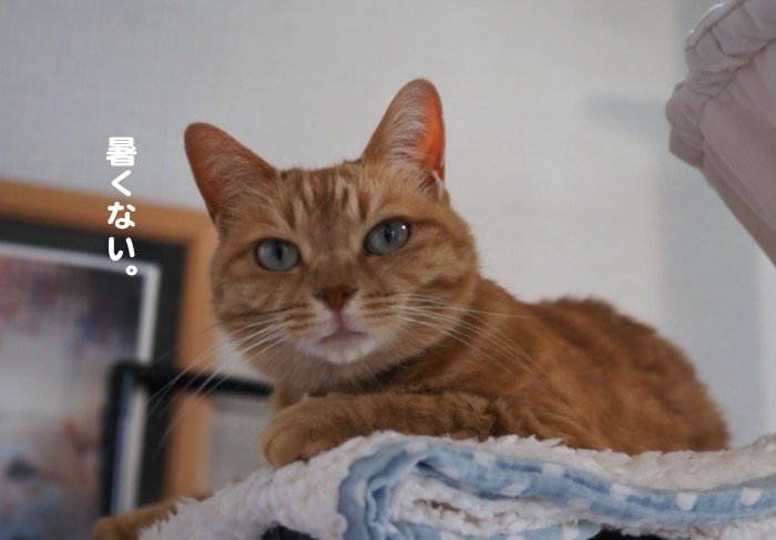 25日夕ブログ２