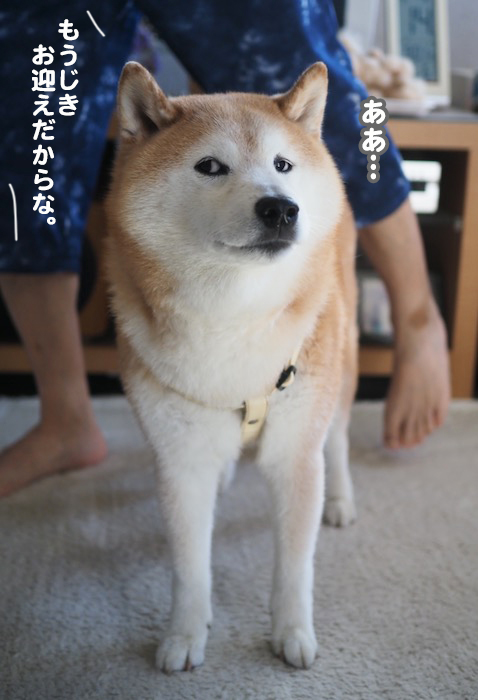 14日夕ブログ８