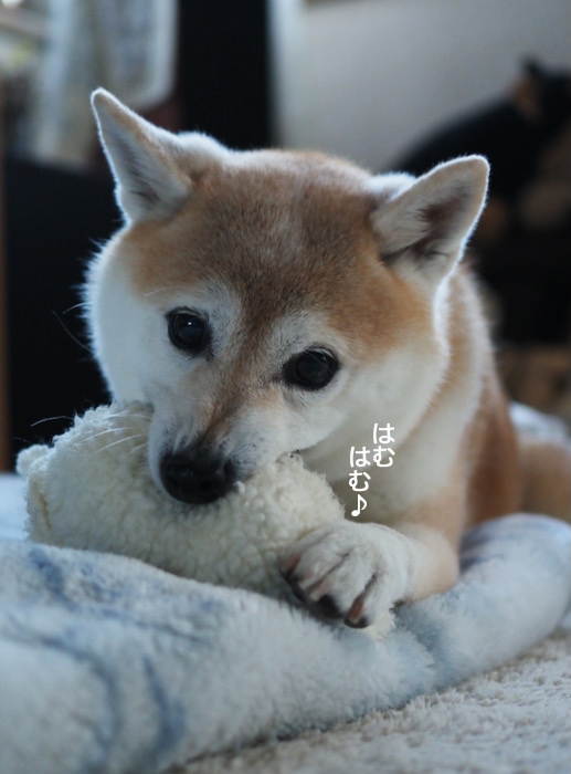 12日ブログ４