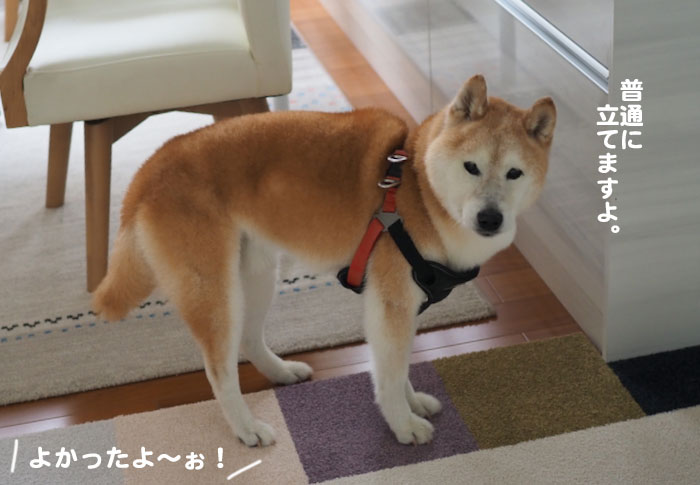 17日夕ブログ３