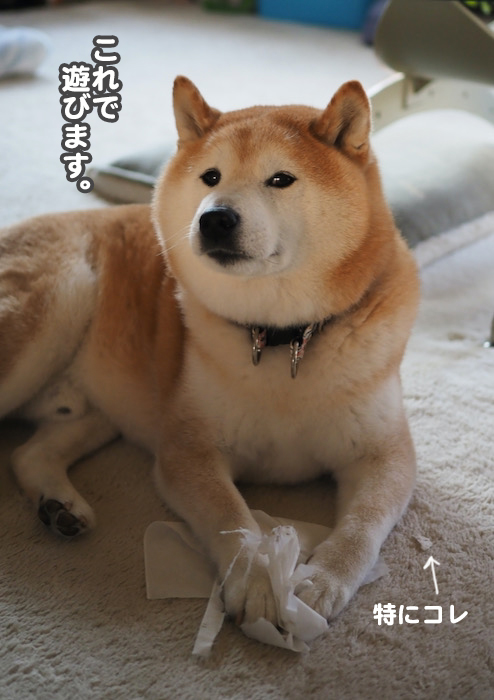 7日夜ブログ２