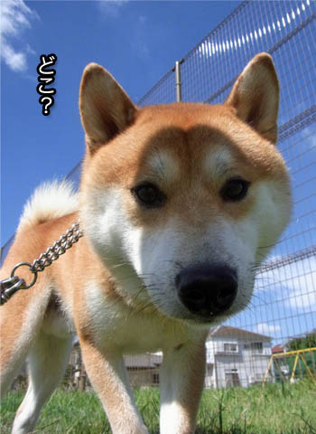 24日ブログ4.jpg