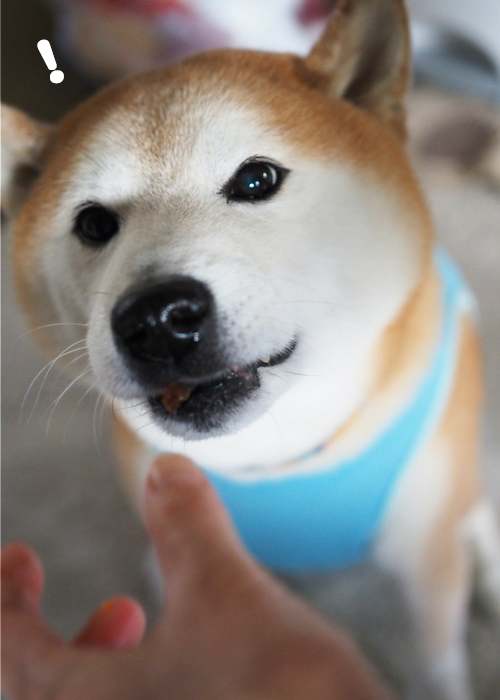 15日夕ブログ７