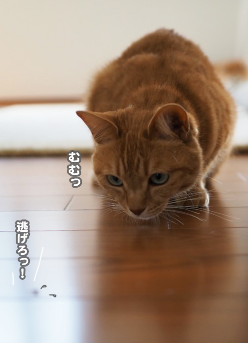 20日夕ブログ５