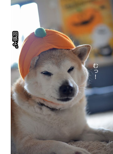 26日ブログ7.jpg