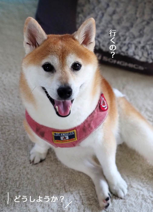 12日ブログ１