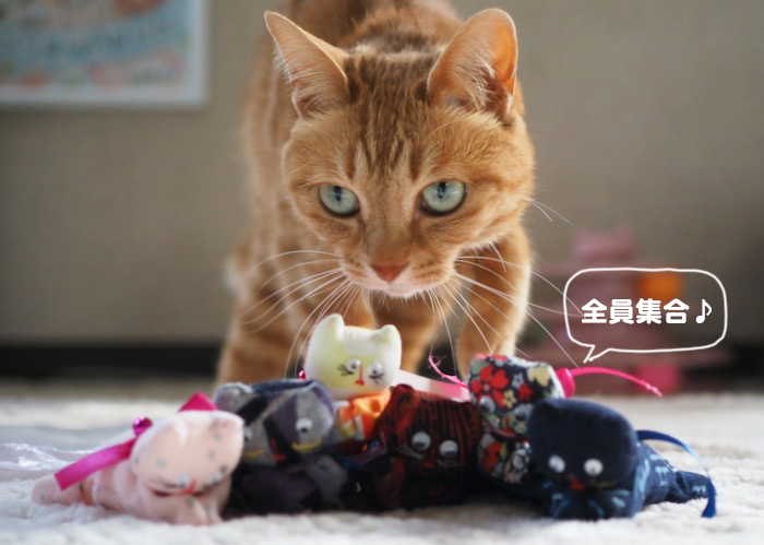25日夕ブログ3