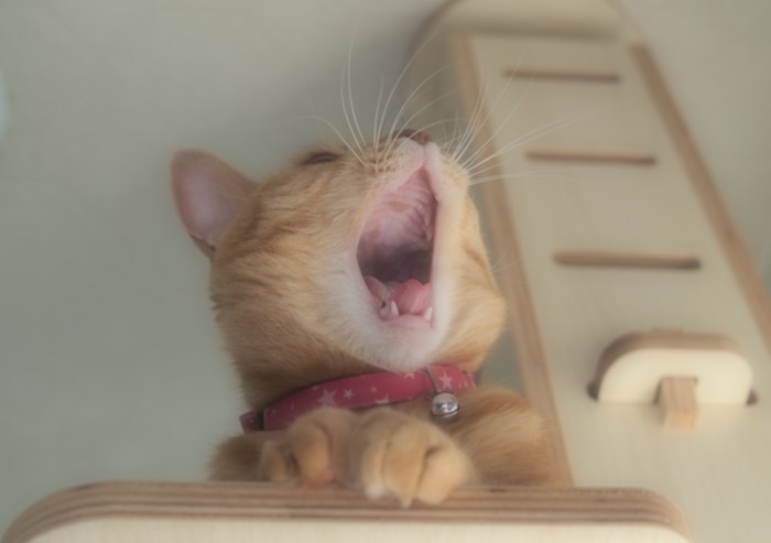 3日ブログ3