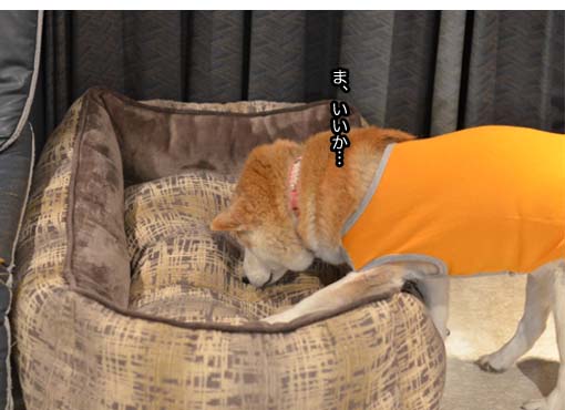 22日ブログ6.jpg
