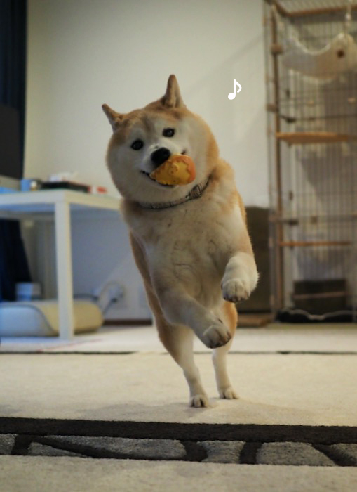 5日夕ブログ９