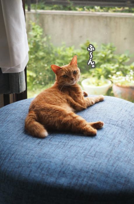 29日ブログ２
